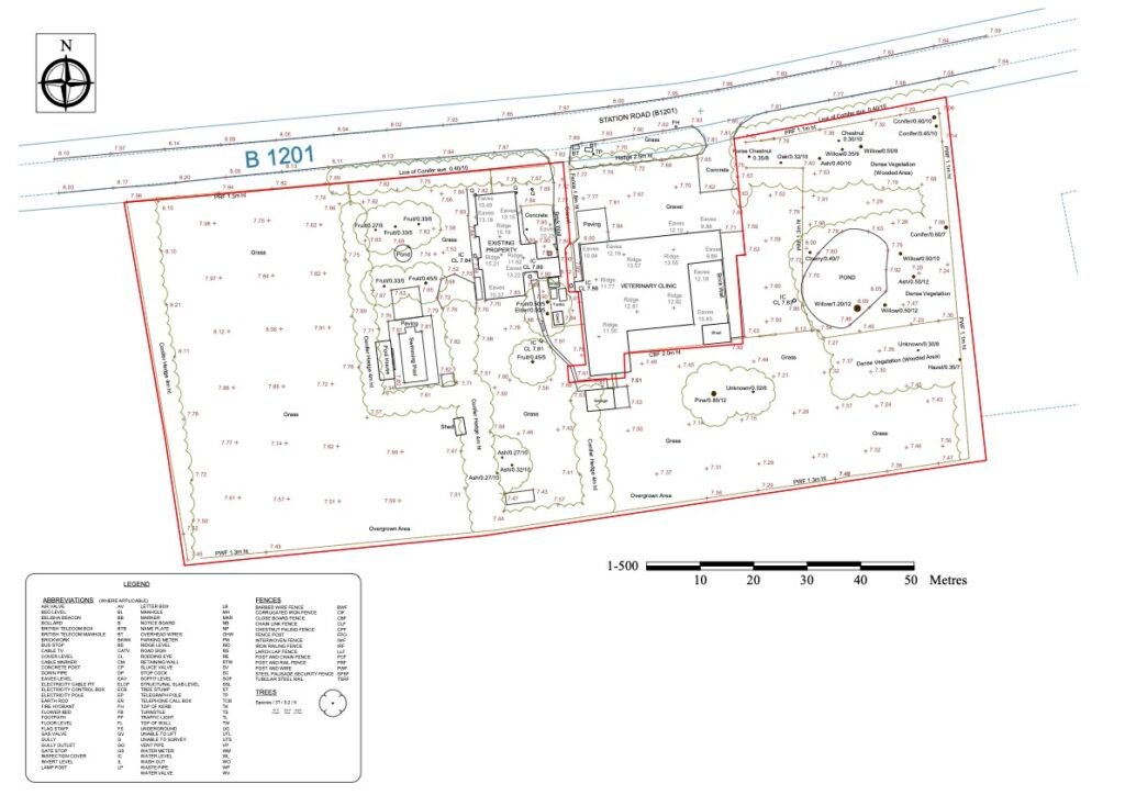 Topographical survey